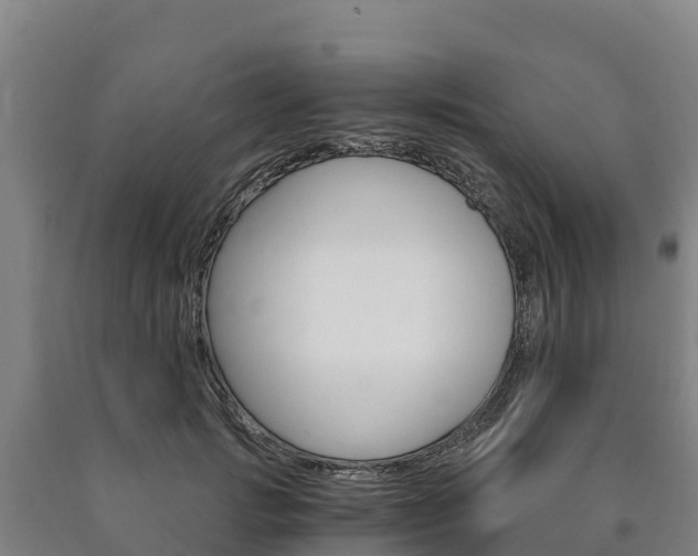 X0000090920749200707301053