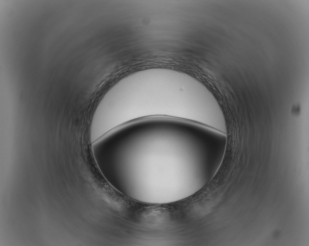 X0000090920750200707301053