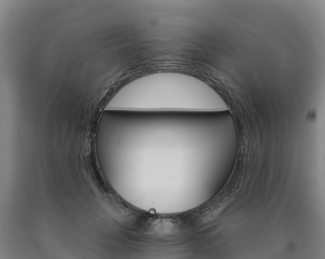 X0000090920751200707301053