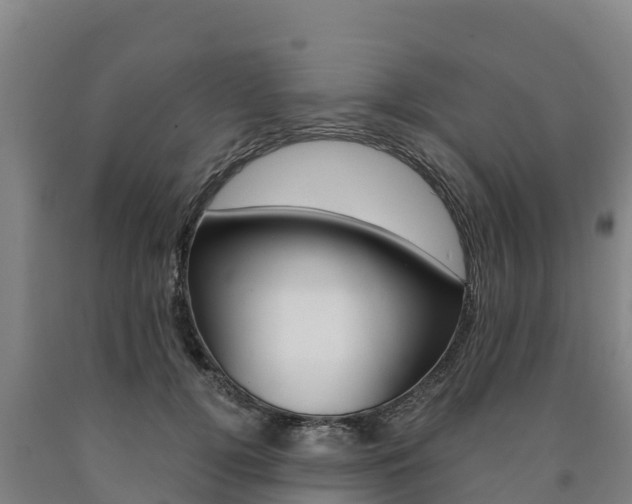 X0000090920752200707301053