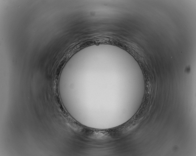 X0000090920753200707301053