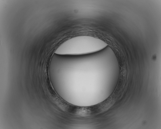 X0000090920754200707301053
