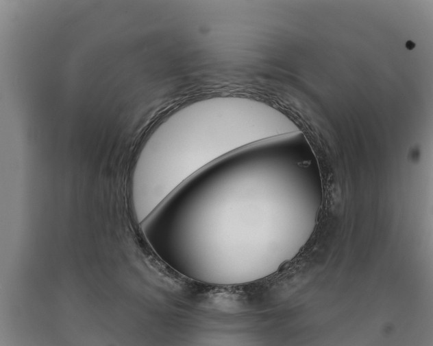 X0000090920756200707301053