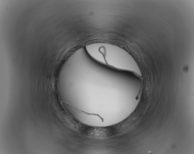 X0000090920758200707301053