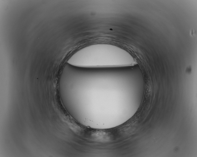 X0000090920759200707301053