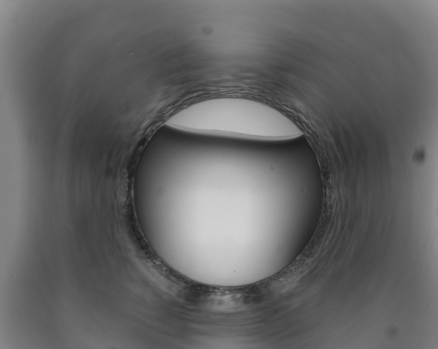 X0000090920760200707301053