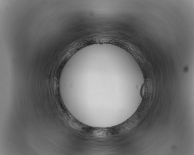 X0000090920761200707301053