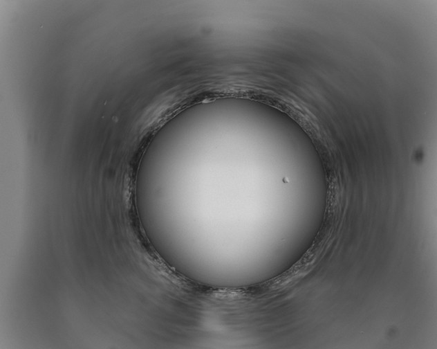 X0000090920762200707301053
