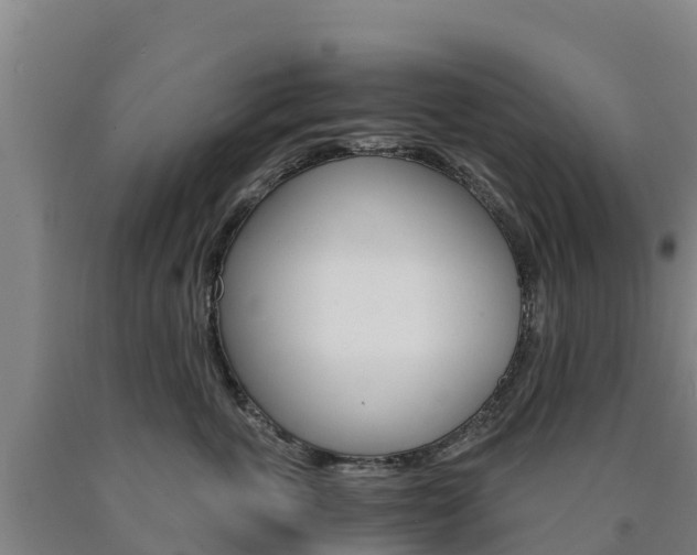 X0000090920763200707301053