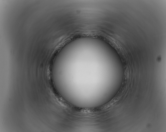 X0000090920764200707301053