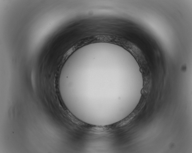 X0000090920765200707301053