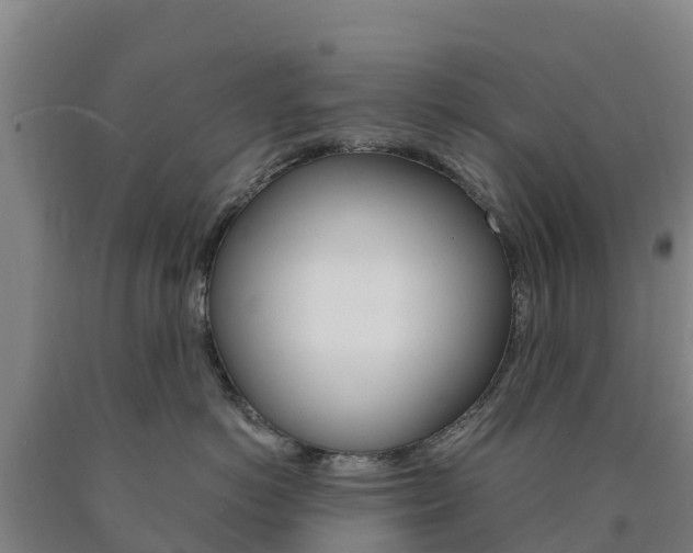 X0000090920766200707301053