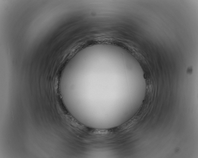 X0000090920767200707301054