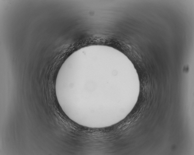 X0000090920769200707301053
