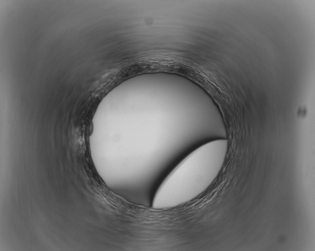 X0000090920771200707301053