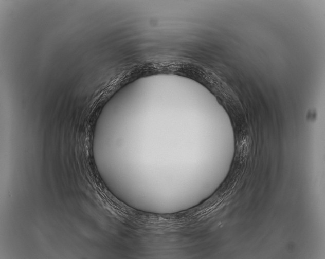 X0000090920772200707301053