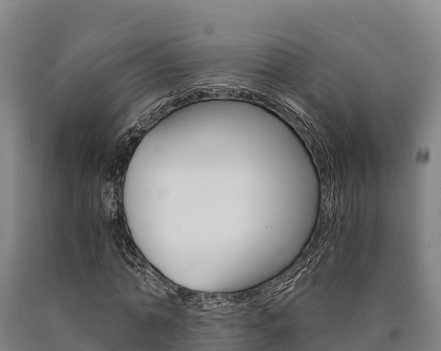 X0000090920774200707301053