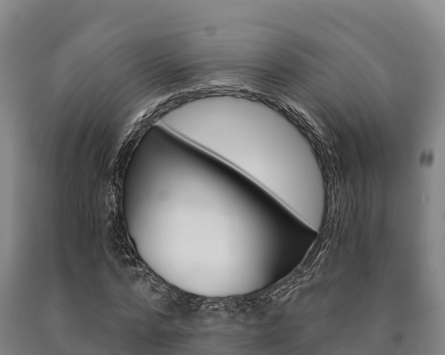 X0000090920776200707301053