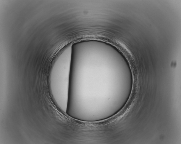 X0000090920777200707301053