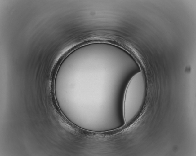 X0000090920779200707301053