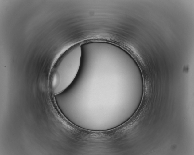 X0000090920780200707301053