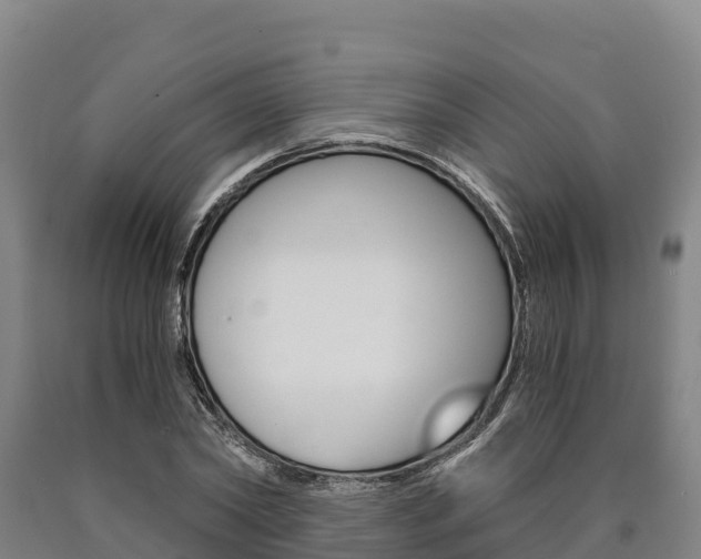 X0000090920782200707301053