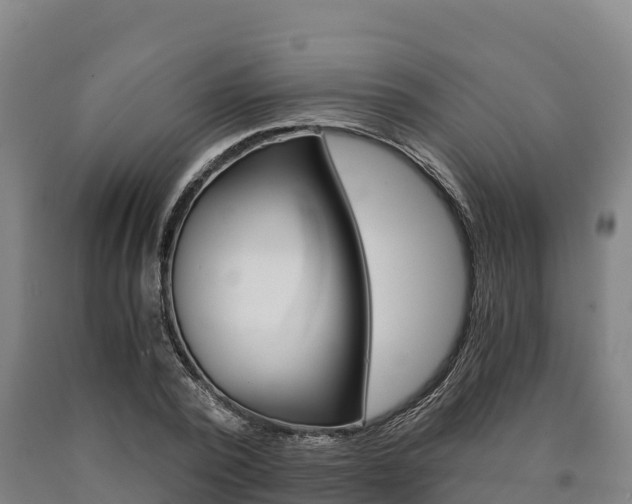 X0000090920784200707301053