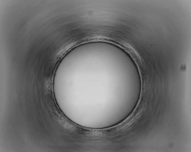 X0000090920785200707301053