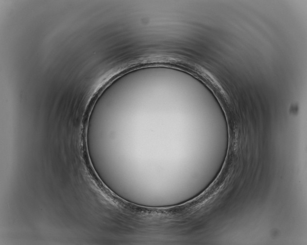 X0000090920786200707301053