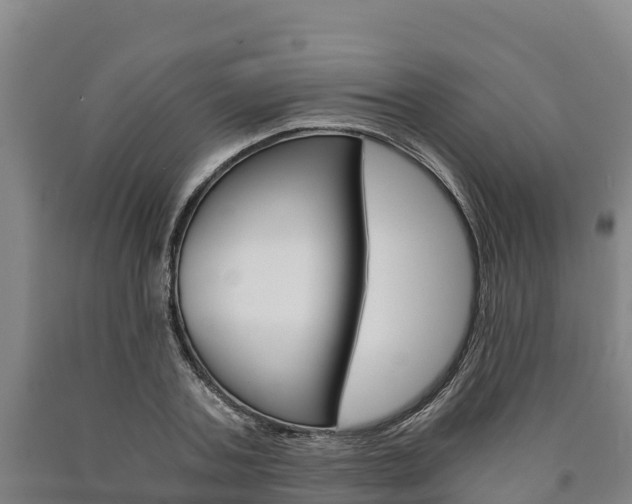 X0000090920787200707301053