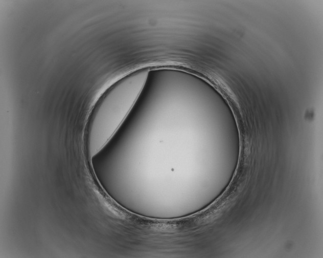 X0000090920789200707301052