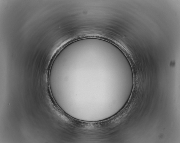 X0000090920790200707301052
