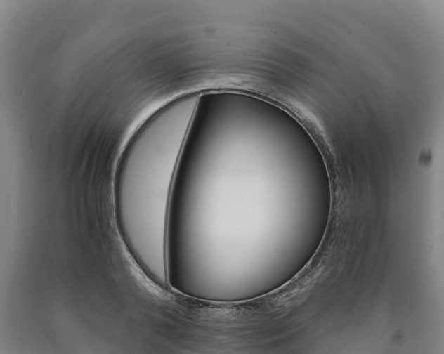 X0000090920792200707301052