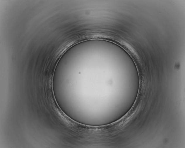 X0000090920793200707301052