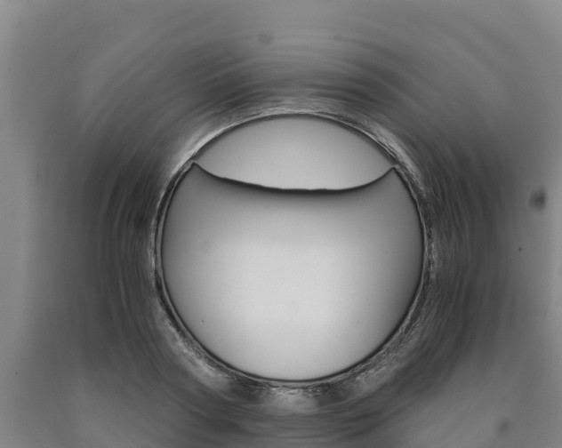 X0000090920794200707301052