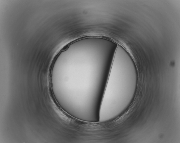 X0000090920795200707301052