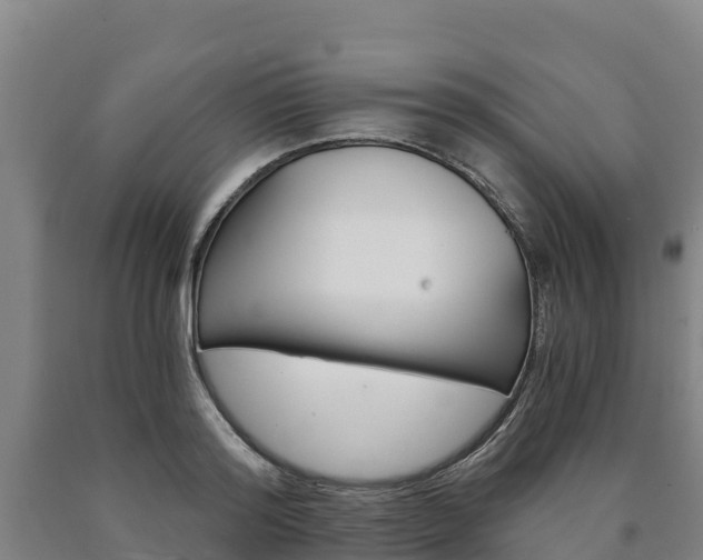 X0000090920796200707301052