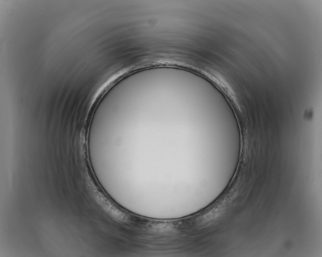 X0000090920798200707301052