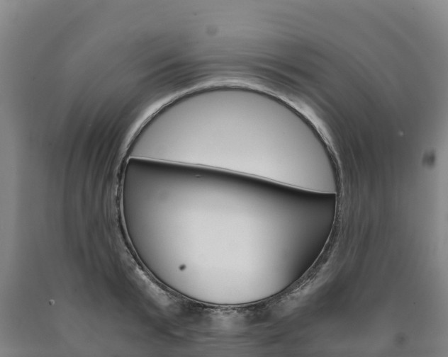 X0000090920799200707301052