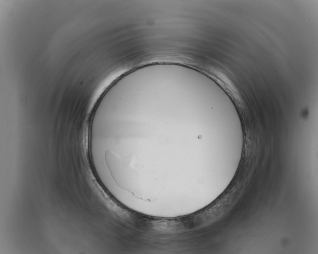 X0000090920804200707301052