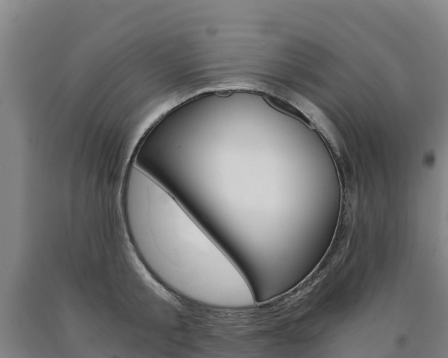 X0000090920805200707301052