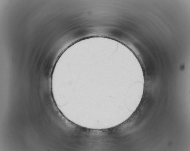 X0000090920807200707301052