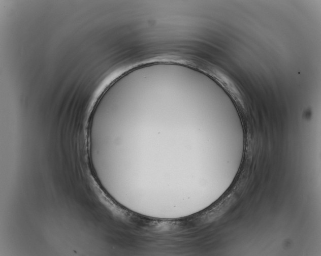 X0000090920808200707301052