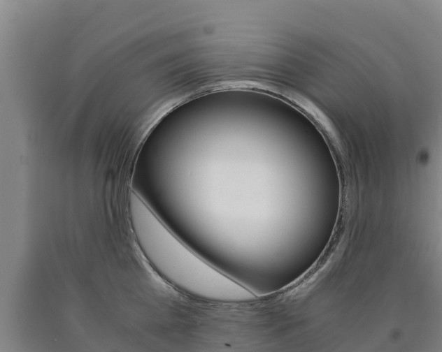 X0000090920809200707301052
