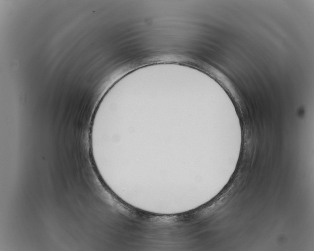 X0000090920810200707301052