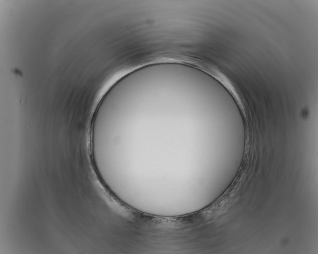 X0000090920811200707301052