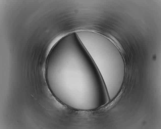 X0000090920812200707301052
