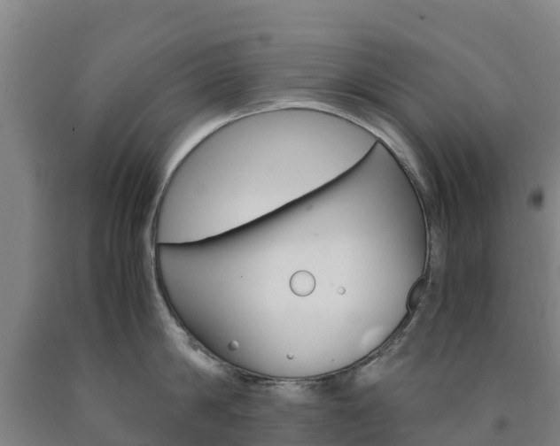 X0000090920814200707301052