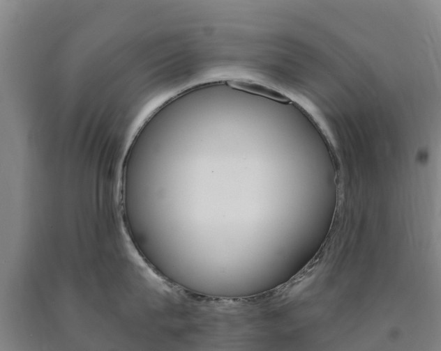 X0000090920815200707301052