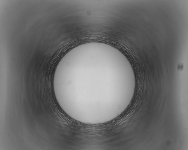 X0000090920818200707301051